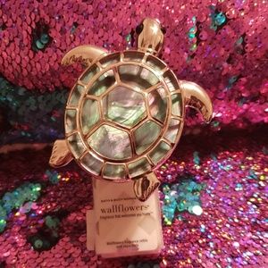 Turtle wallflower plug